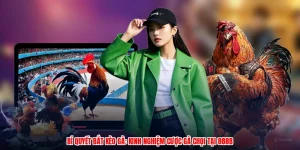 Bí Quyết Bắt Kèo Gà: Kinh Nghiệm Cược Gà Chọi Tại 888B