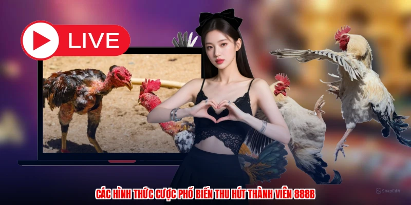 Các hình thức cược phổ biến thu hút thành viên 888B
