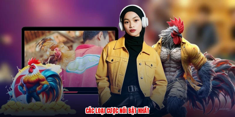 Các loại cược nổi bật nhất