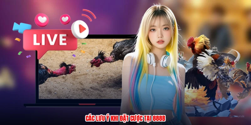 Các lưu ý khi đặt cược tại 888B