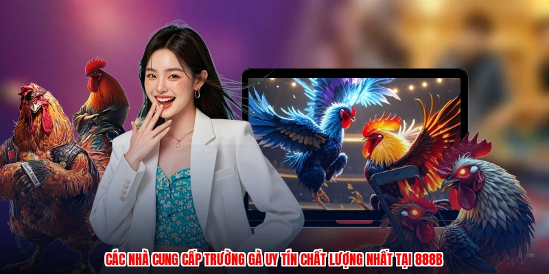 Các nhà cung cấp trường gà uy tín chất lượng nhất tại 888B
