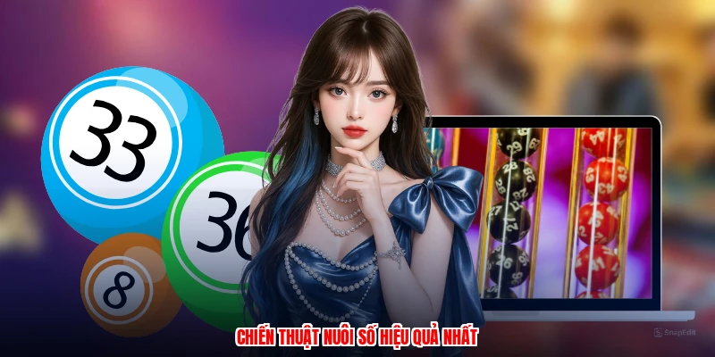 Chiến thuật nuôi số hiệu quả nhất