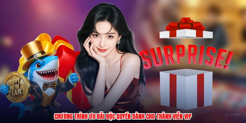 Chương trình ưu đãi độc quyền dành cho thành viên VIP