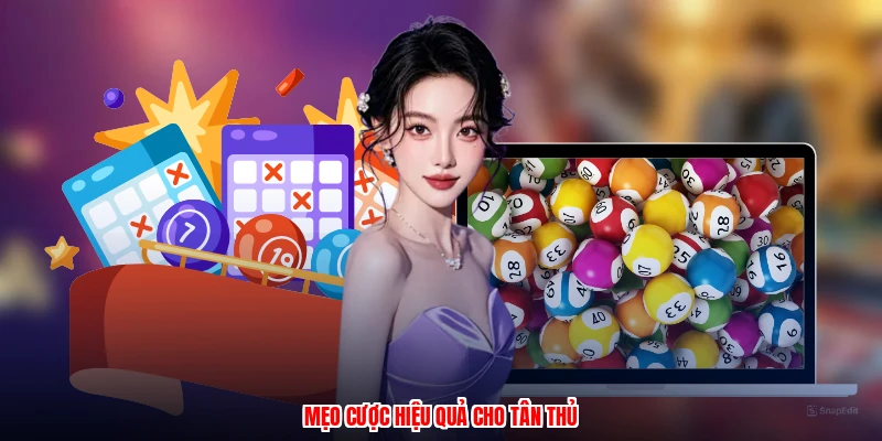Mẹo cược hiệu quả cho tân thủ