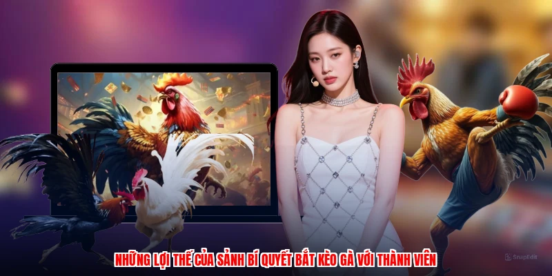 Những lợi thế của sảnh bí quyết bắt kèo gà với thành viên
