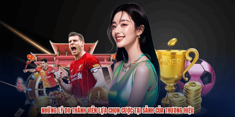 Những lý do thành viên lựa chọn cược tại sảnh của thương hiệu