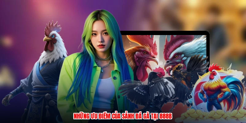 Những ưu điểm của sảnh đá gà tại 888B