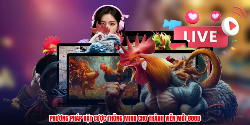 Phương pháp đặt cược thông minh cho thành viên mới 888B