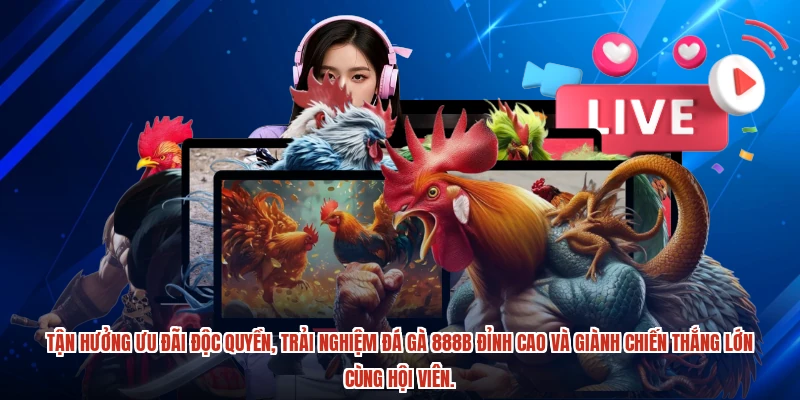 Tận hưởng ưu đãi độc quyền, trải nghiệm đá gà 888B đỉnh cao và giành chiến thắng lớn cùng hội viên.