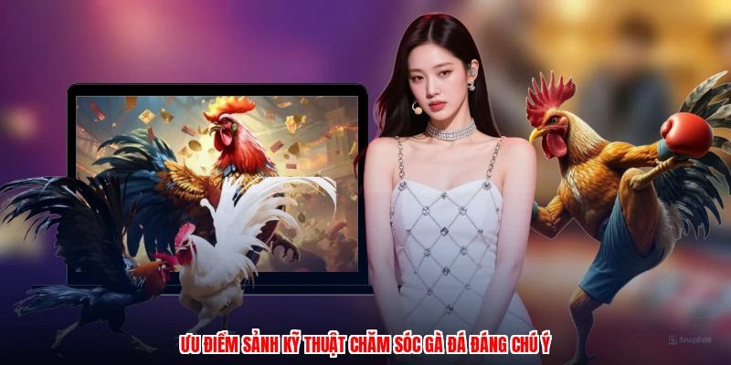 Ưu điểm sảnh kỹ thuật chăm sóc gà đá đáng chú ý